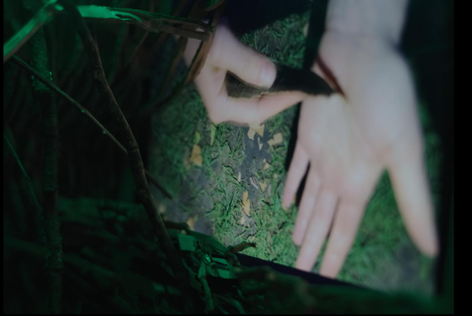 A screen showing a close-up image of hands, one hand holding a piece of bark against the other palm. in front and to the left of the screen are twigs and pieces of cardboard.
