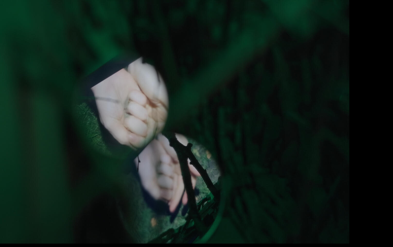 two small circular mirrors placed amongst twigs and cardboard reflect an image of hands clasping something