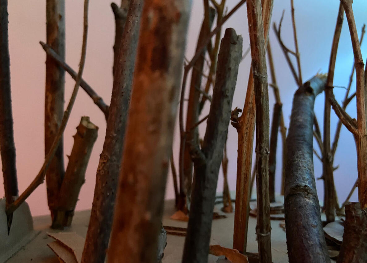 twigs glued to a cardboard base form a miniature forest